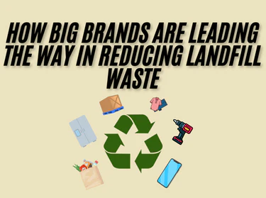 How Big Brands Are Leading the Way